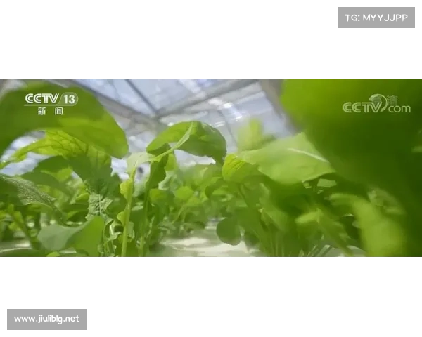 如何为卷帘绿魔提供最佳生长环境与护理技巧助力其茁壮成长 如何为卷帘绿魔提供最佳生长环境与护理技巧助力其茁壮成长