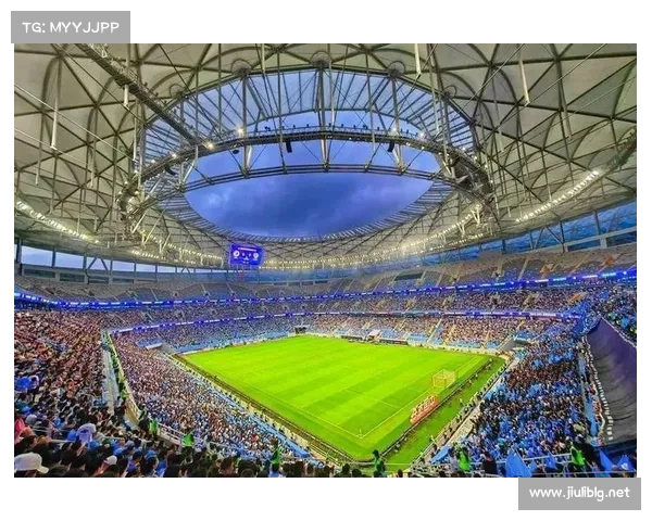 大连英博失利的深层原因及其对中国啤酒市场的影响分析